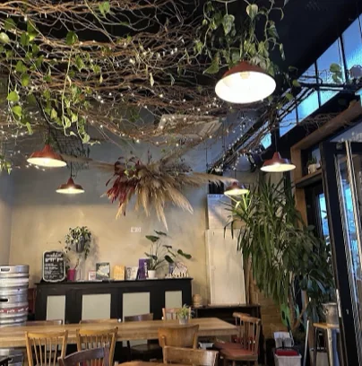 Branches et plantes suspendues au plafond